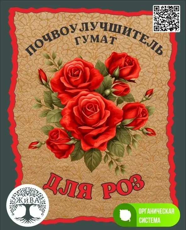 Как вырастить здоровые розы и добиться обильного цветения — статья о выращивании и урожайности