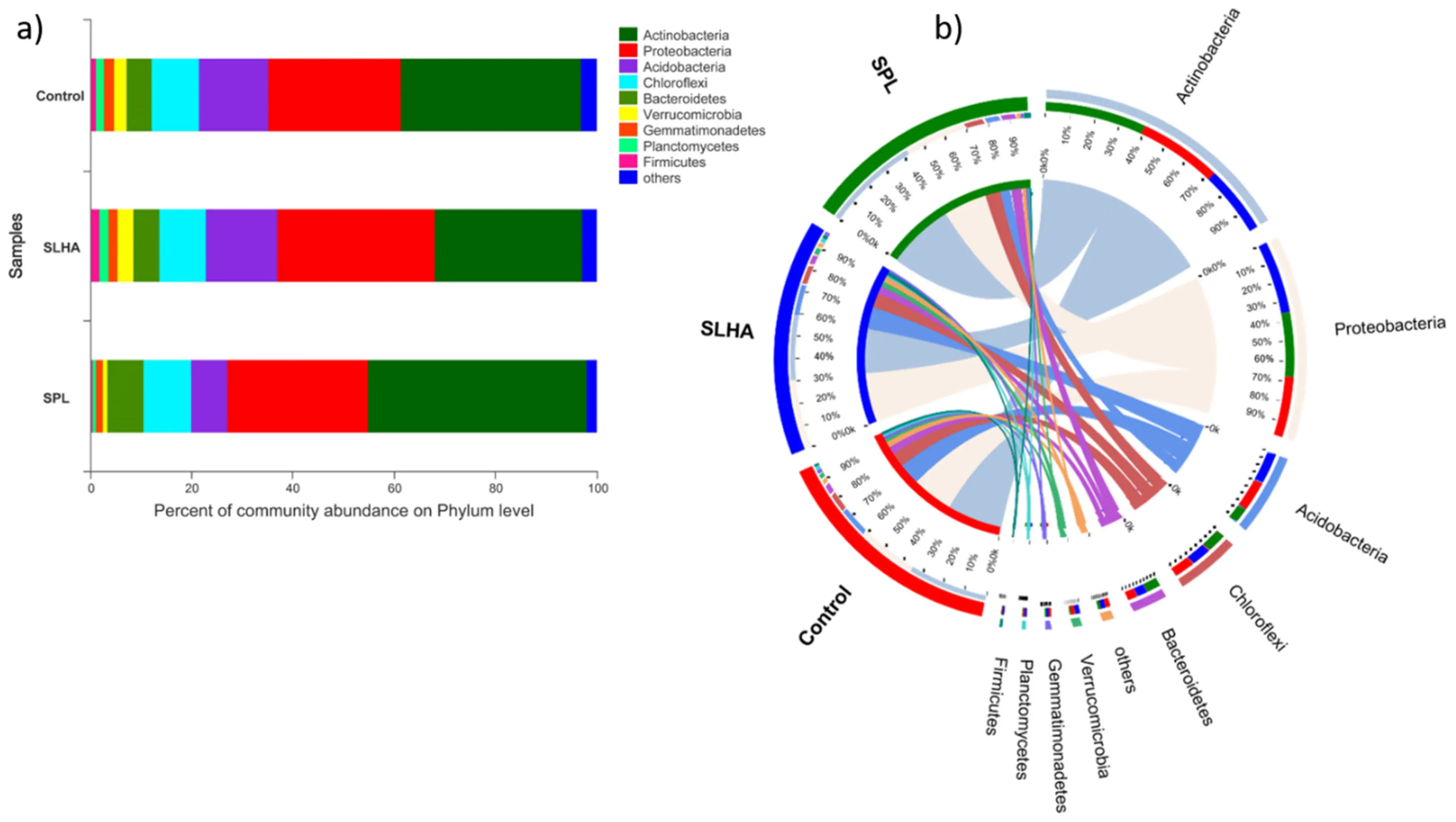 Microbial community abundance at phylum level